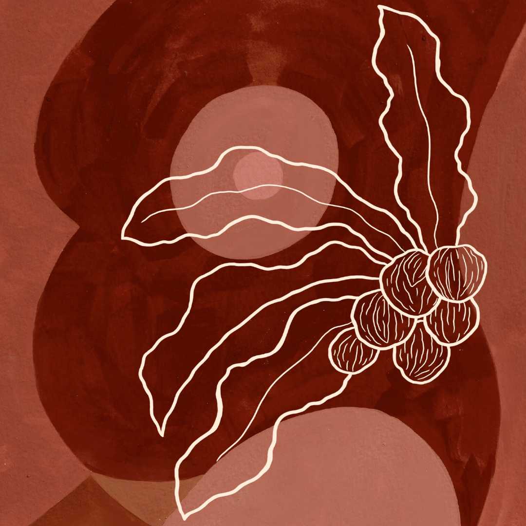 Where does Shea Butter come from?